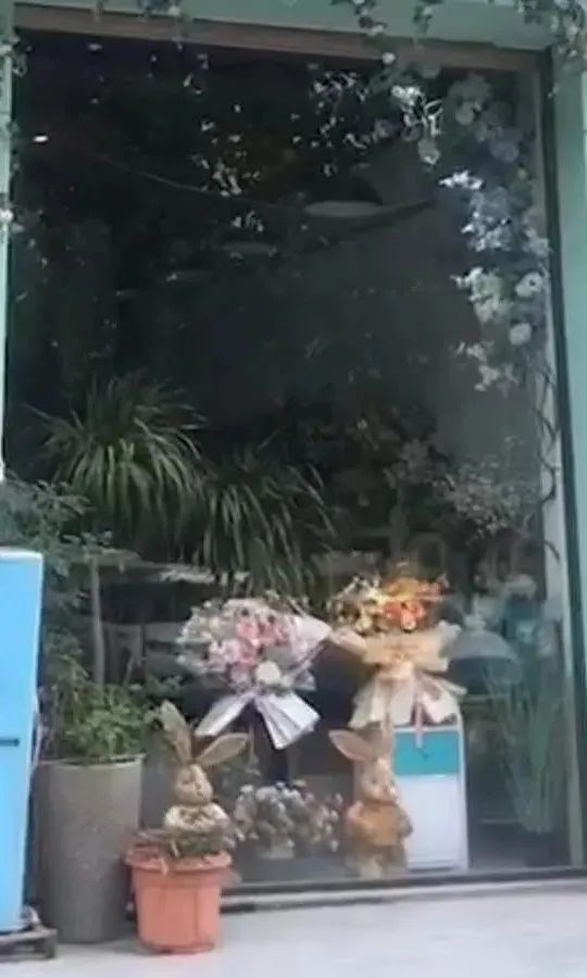 博思花藝婚慶教育，婚慶培訓(xùn)，花藝培訓(xùn)，插花培訓(xùn)，花藝師培訓(xùn)，主持人培訓(xùn)，商務(wù)主持人培訓(xùn)，花店運(yùn)營培訓(xùn)，花店全系統(tǒng)營銷，小白開花店，小白學(xué)主持，金璽棠婚慶酒店，金璽棠總部，鄭州金麻雀教育科技有限公司
