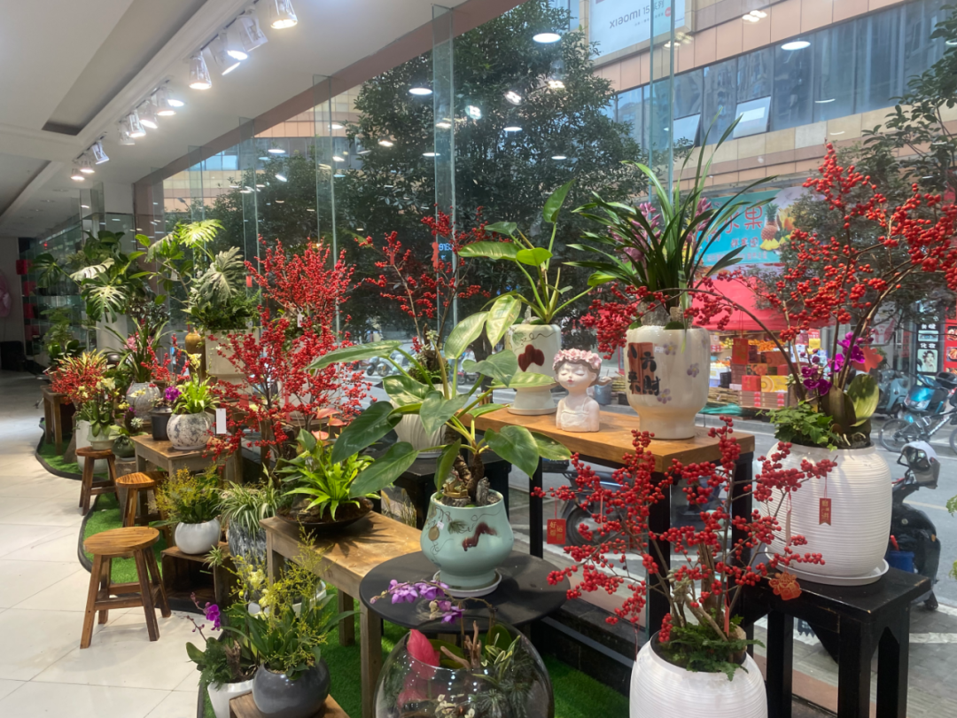 博思花藝婚慶教育，婚慶培訓(xùn)，花藝培訓(xùn)，插花培訓(xùn)，花藝師培訓(xùn)，主持人培訓(xùn)，商務(wù)主持人培訓(xùn)，花店運(yùn)營(yíng)培訓(xùn)，花店全系統(tǒng)營(yíng)銷(xiāo)，小白開(kāi)花店，小白學(xué)主持，金璽棠婚慶酒店，金璽棠總部，鄭州金麻雀教育科技有限公司