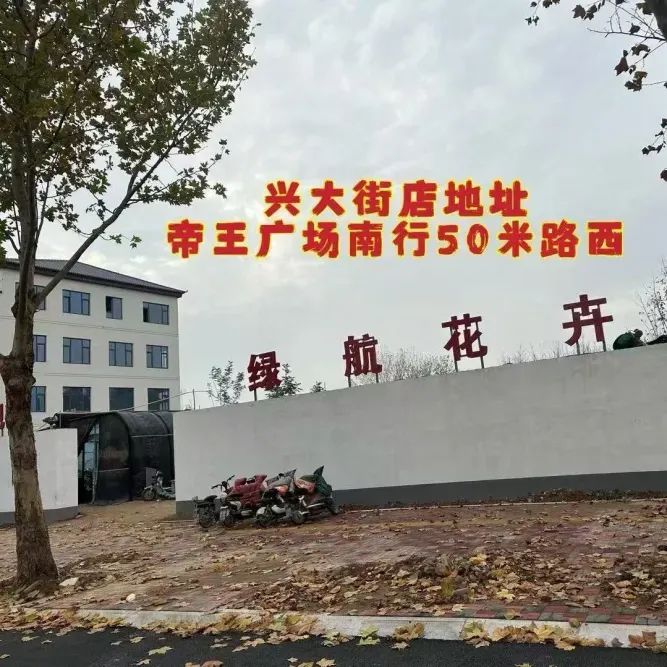 博思花藝婚慶教育，婚慶培訓(xùn)，花藝培訓(xùn)，插花培訓(xùn)，花藝師培訓(xùn)，主持人培訓(xùn)，商務(wù)主持人培訓(xùn)，花店運(yùn)營培訓(xùn)，花店全系統(tǒng)營銷，小白開花店，小白學(xué)主持，金璽棠婚慶酒店，金璽棠總部，鄭州金麻雀教育科技有限公司