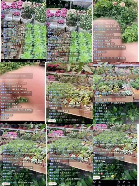 博思花藝婚慶教育，婚慶培訓(xùn)，花藝培訓(xùn)，插花培訓(xùn)，花藝師培訓(xùn)，主持人培訓(xùn)，商務(wù)主持人培訓(xùn)，花店運(yùn)營培訓(xùn)，花店全系統(tǒng)營銷，小白開花店，小白學(xué)主持，金璽棠婚慶酒店，金璽棠總部，鄭州金麻雀教育科技有限公司