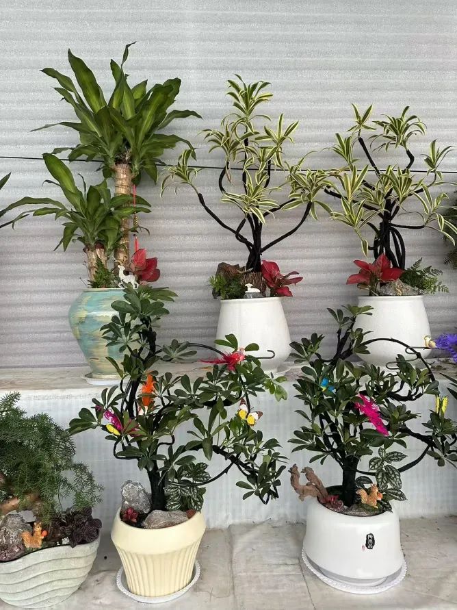 博思花藝婚慶教育，婚慶培訓(xùn)，花藝培訓(xùn)，插花培訓(xùn)，花藝師培訓(xùn)，主持人培訓(xùn)，商務(wù)主持人培訓(xùn)，花店運(yùn)營培訓(xùn)，花店全系統(tǒng)營銷，小白開花店，小白學(xué)主持，金璽棠婚慶酒店，金璽棠總部，鄭州金麻雀教育科技有限公司